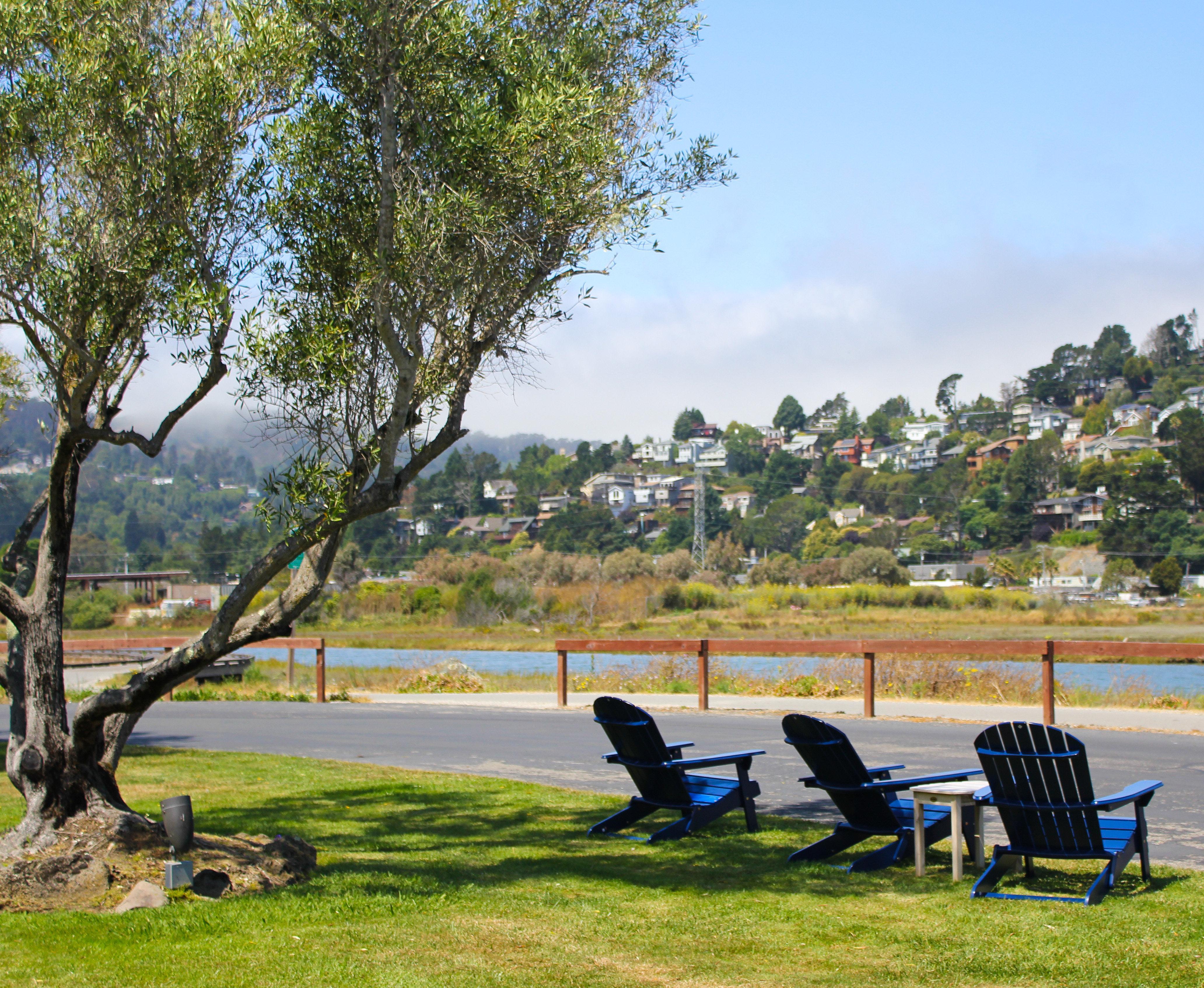 Holiday Inn Express Mill Valley San Francisco Area By Ihg Extérieur photo