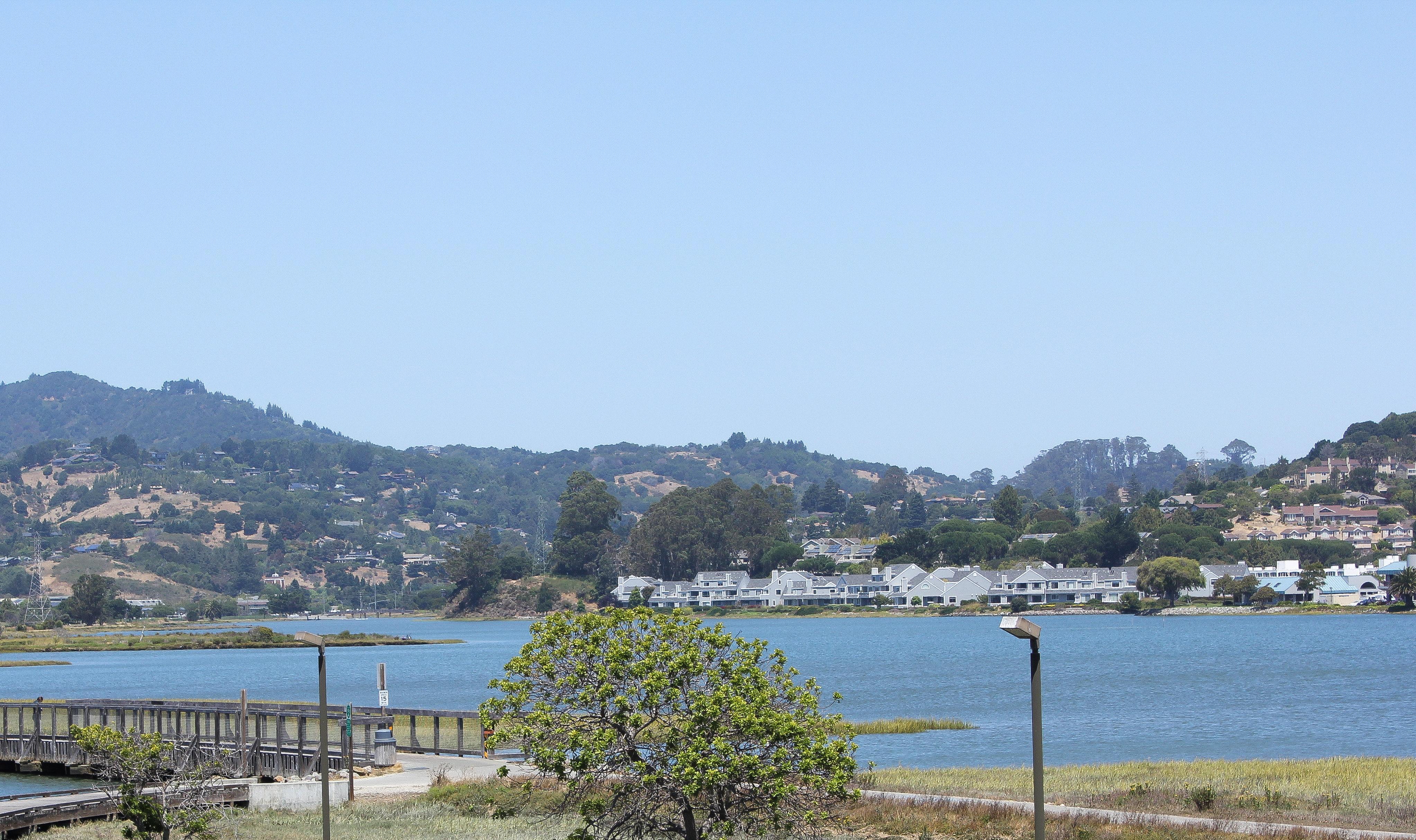 Holiday Inn Express Mill Valley San Francisco Area By Ihg Extérieur photo